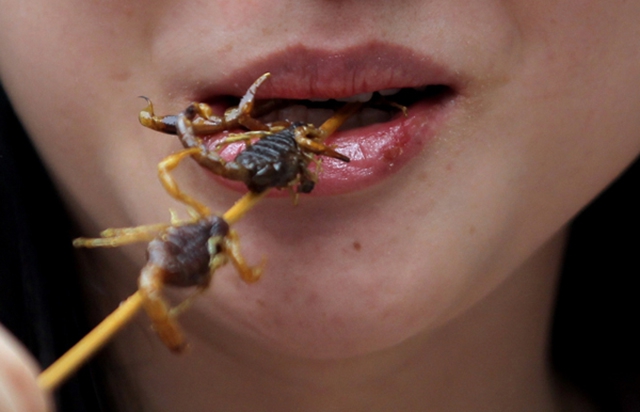 Como os chineses comem escorpiões e sobrevivem?