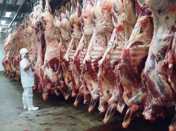 Produção mundial de carnes não deve registrar aumento