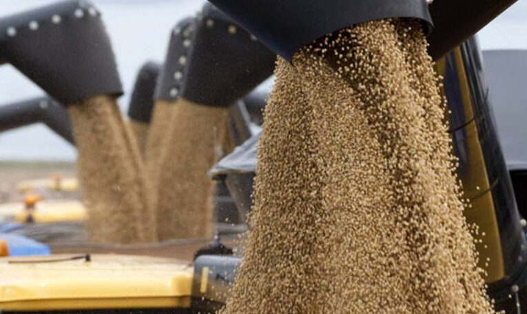 EUA vendem 309,4 mil toneladas da safra de soja 15/16