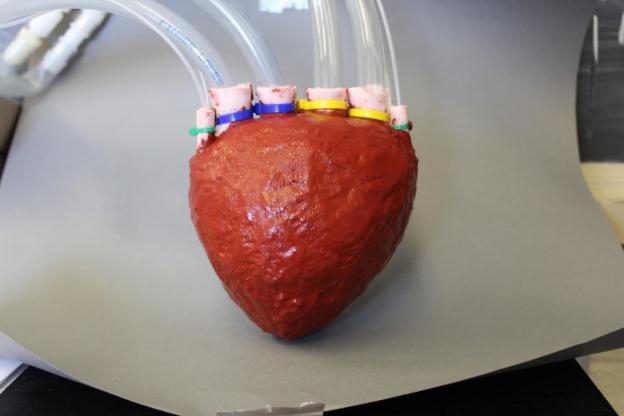 Pesquisadores desenvolvem coração feito de espuma