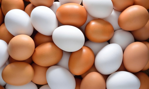 Cepea: Indicador cotação ovos