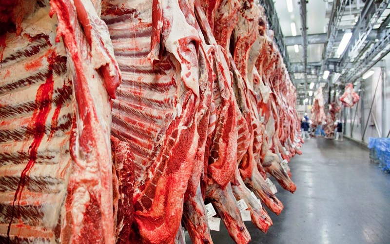 Novos mercados para a carne bovina brasileira