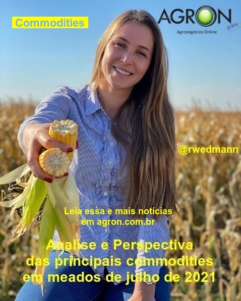 Analise e Perspectiva das principais commodities em meados de julho de 2021