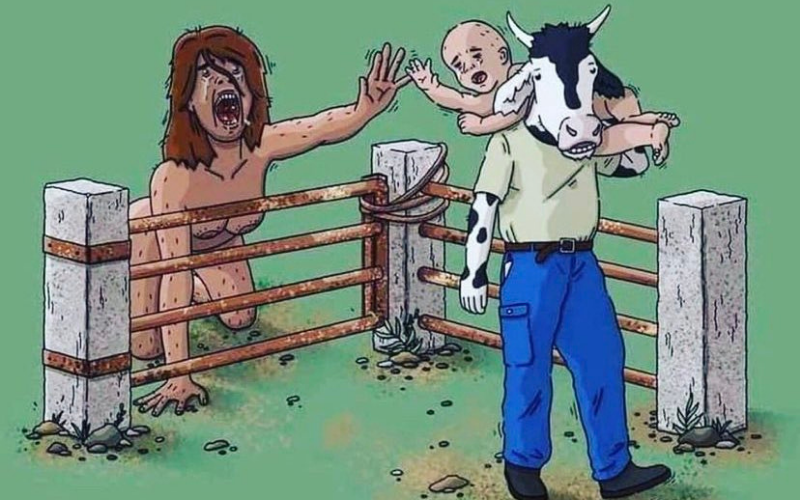 Charge que gerou o debate nas redes sociais Descrição da imagem: “ Uma mulher está atrás de um cercado agachada e chorando, enquanto uma vaca humanizada carrega um bebê humano nos ombros”