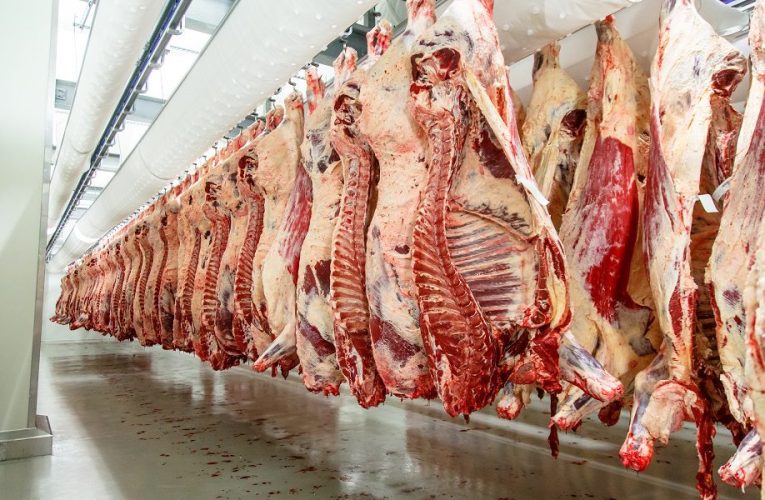 Exportações de carne bovina tem crescimento em receita