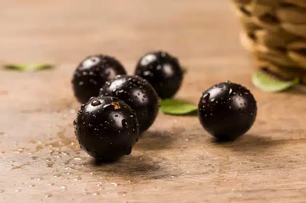 Como plantar jabuticaba