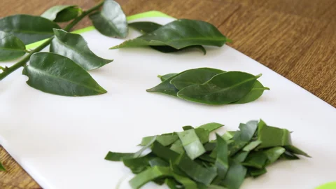 4 receitas fáceis com ora-pro-nóbis para aproveitar todo o potencial da planta