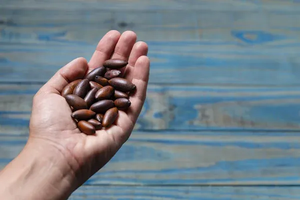 Castanha-do-cerrado - baru