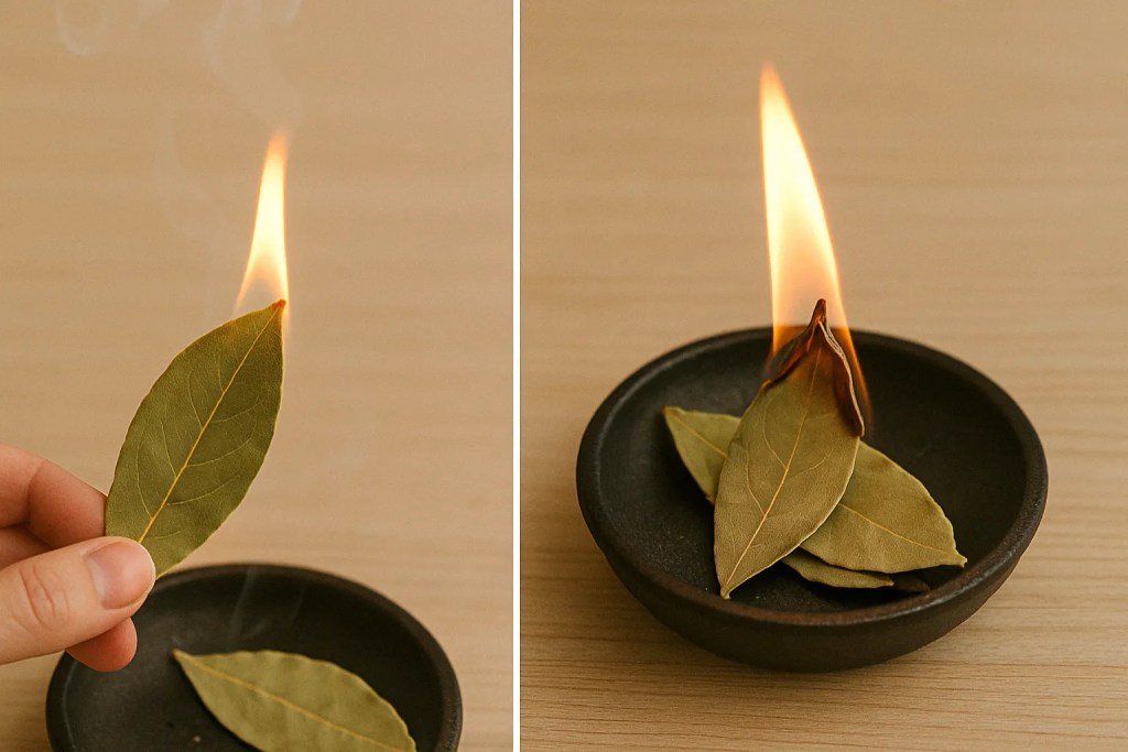 Queimar folhas de louro entenda por que você deve começar ainda hoje