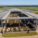 10 maiores fazendas leiteiras que dominam o mercado brasileiro