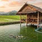 Aquicultura Integrada