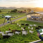 tecnologia na pecuária