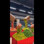 Brasileiro cria Hortifruti