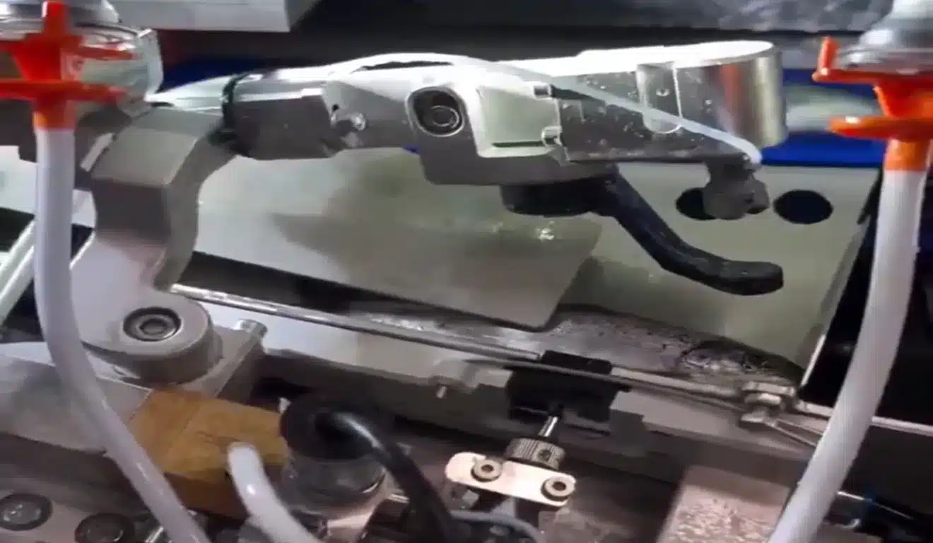 Vacinação na Aquicultura: Milhões de peixes sedados e injetados