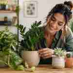 6 plantas fáceis de cuidar que continuam bonitas mesmo na rotina caótica de quem não sabe nada de jardinagem