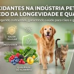 Antioxidantes no pet food: o segredo da longevidade