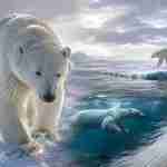 Urso polar pode ficar quase invisível em imagens térmicas e o motivo envolve uma adaptação extrema