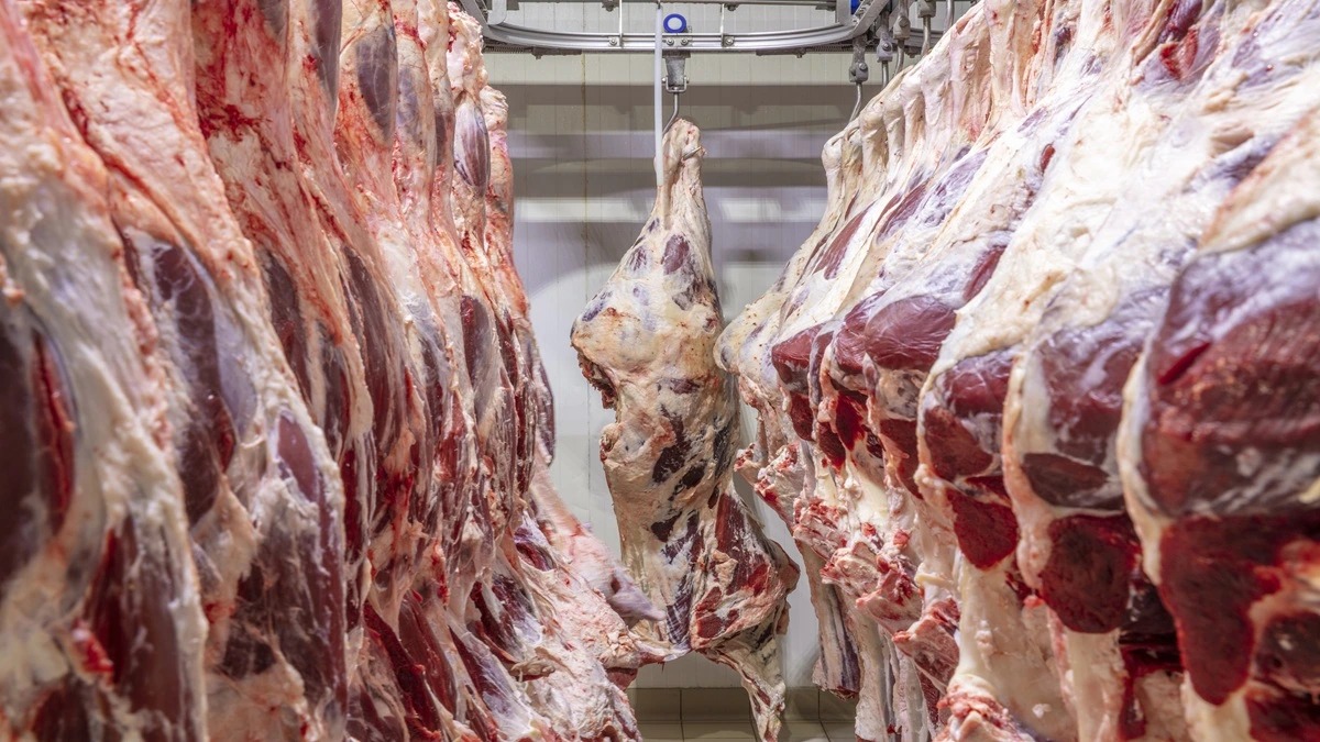 Exportação de carne bovina cresce 21,7% em 2026
