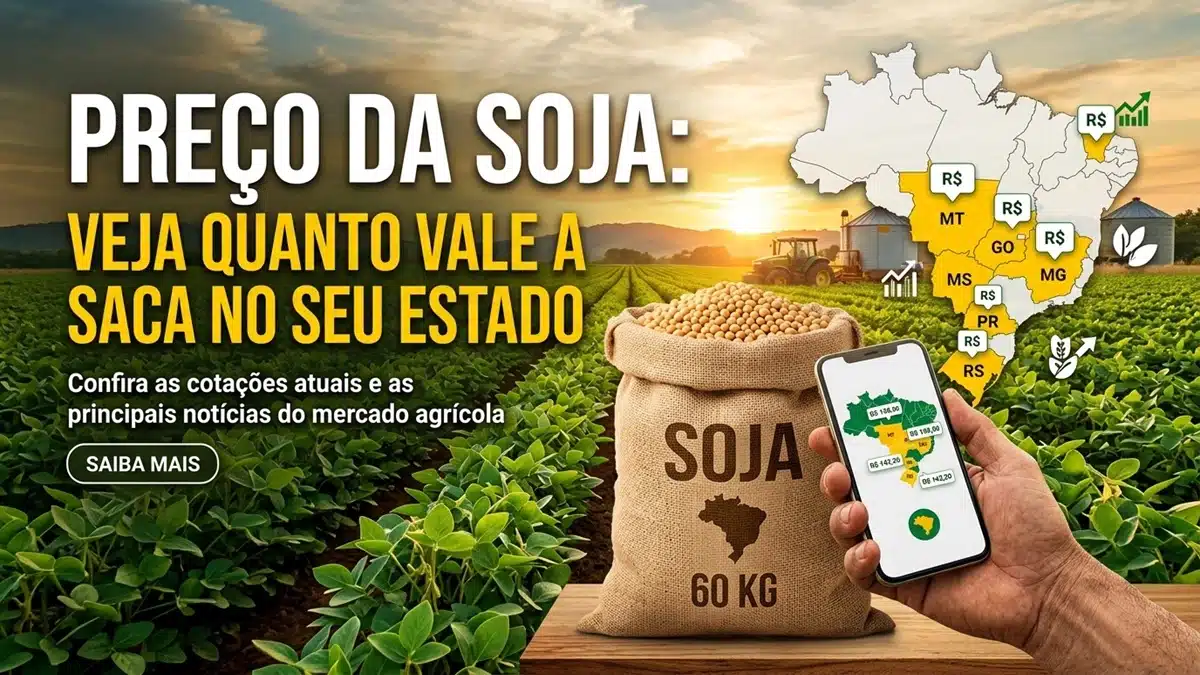 Preço da Soja: Veja quanto vale a saca no seu estado