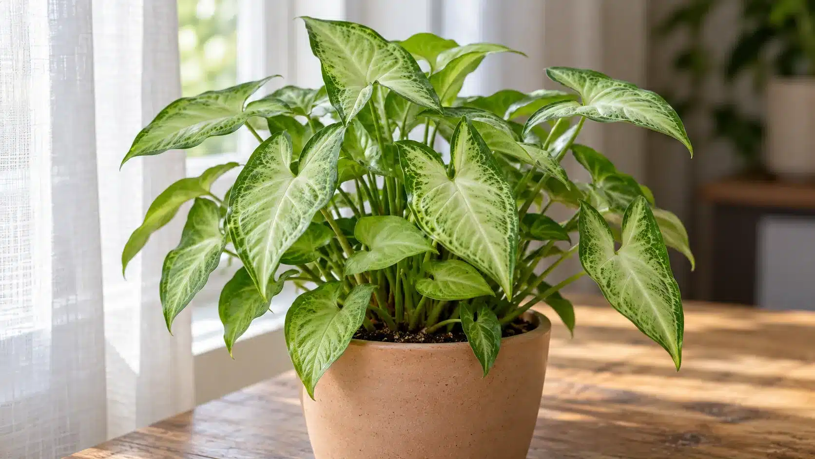 Singônio: 5 cuidados que ajudam essa planta de folhas em formato de seta a formar uma folhagem mais densa e uniforme sem perder o desenho característico